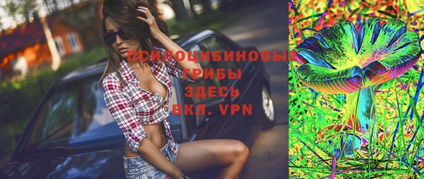 спиды Кодинск