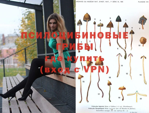 дмт Козловка
