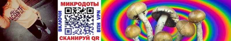Псилоцибиновые грибы GOLDEN TEACHER  Купить где  Дзержинский 